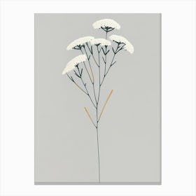 Yarrow Wildflower Simplicity Canvas Print