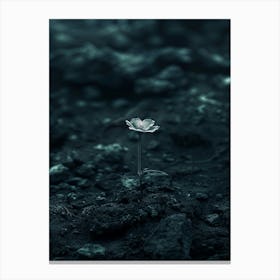 Flower In The Dark 40 Canvas Print