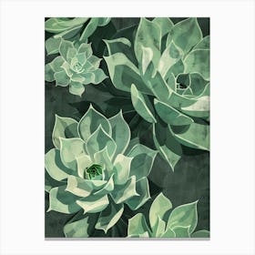 Succulents Plant Minimalist Illustration 2 Canvas Print