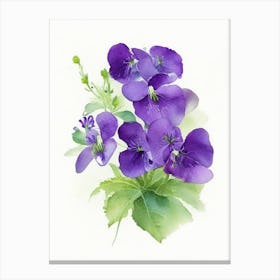 Violets Wildflower Watercolour 2 Canvas Print