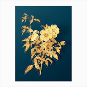 Vintage White Rose of Snow Botanical in Gold on Teal Blue n.0257 Canvas Print