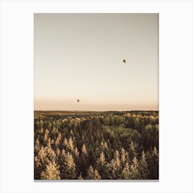 Hot Air Balloon Sunset Canvas Print