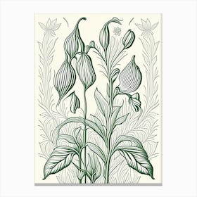 Cardamom Herb William Morris Inspired Line Drawing 2 Canvas Print