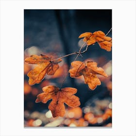 Beautiful Golden Autumn Leaves Canvas Print