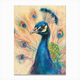 Colourful Peacock Portrait Sketch  2 Canvas Print