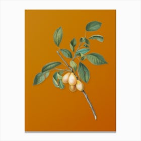 Vintage Plum Botanical on Sunset Orange n.0227 Canvas Print