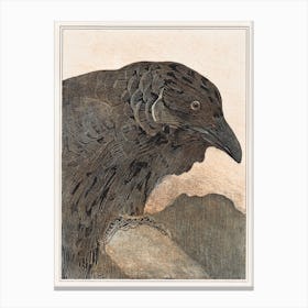 Crow (1878–1908), Theo Van Hoytema Canvas Print