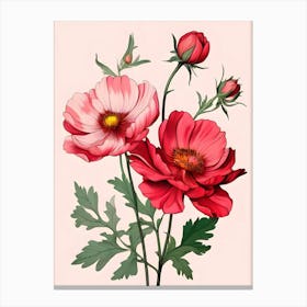 Cosmos Flowers 4 Canvas Print