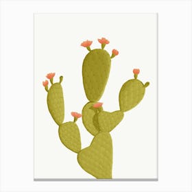 Cactus Illustration Canvas Print