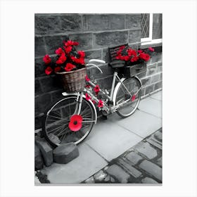 Poppies On A Bike Canvas Print