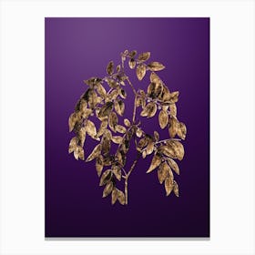 Gold Botanical Jujube on Royal Purple n.2727 Canvas Print