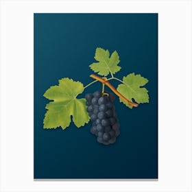 Vintage San Columbano Grapes Botanical Art on Teal Blue n.0756 Canvas Print