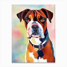 Boxer Watercolour dog Canvas Print