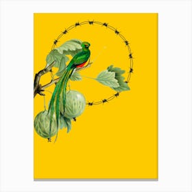 Parrot On A Branch Canvas Print