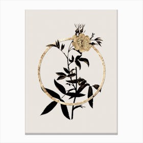 Gold Ring White Rose of York Glitter Botanical Illustration n.0133 Canvas Print