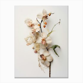 Pressed Wildflower Botanical Art Orchid Canvas Print