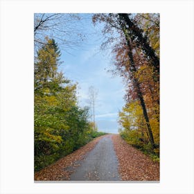 Autumn Road 15 Canvas Print