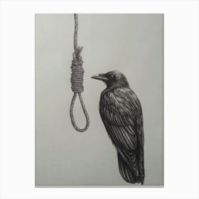 Crow Hanging From A Rope Canvas Print