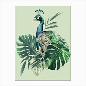 Peacock With Leaves Canvas Print