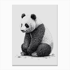 Funny Panda Canvas Print