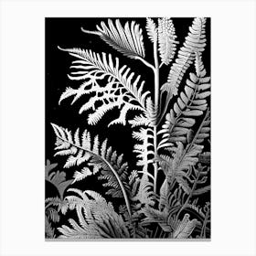 Mountain Spleenwort Linocut Canvas Print