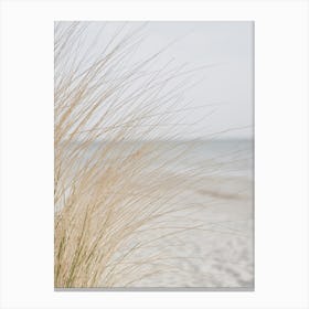 Grass On The Beach Canvas Print