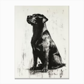 Drawing Of A Rottweiler Sitting Canvas Print