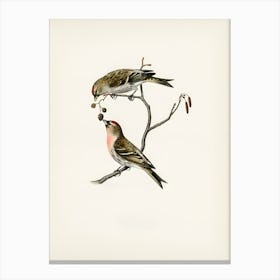 Two Birds Perched On A Branch 4 Canvas Print