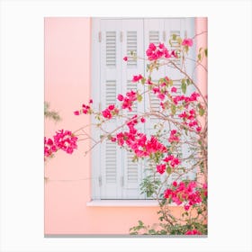 Pink Flowers By Window Canvas Print