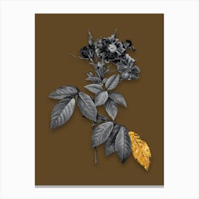 Vintage Boursault Rose Black and White Gold Leaf Floral Art on Coffee Brown n.0338 Canvas Print