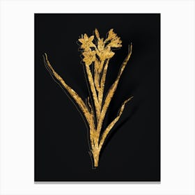 Vintage Sword Lily Botanical in Gold on Black Canvas Print
