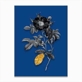 Vintage Red Portland Rose Black and White Gold Leaf Floral Art on Midnight Blue n.0527 Canvas Print