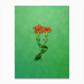 Vintage Bunge's Lychnis Flower Botanical Art on Classic Green Canvas Print