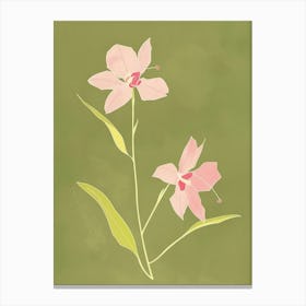 Pink & Green Orchid 4 Canvas Print