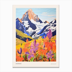 Aoraki New Zealand 4 Colourful Mountain Illustration Poster Canvas Print