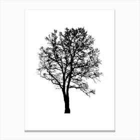 Silhouette Of A Tree Canvas Print