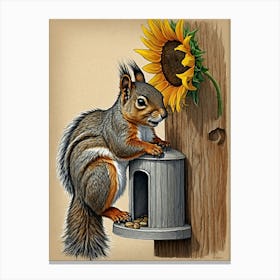 Squirrel With Sunflower Canvas Print