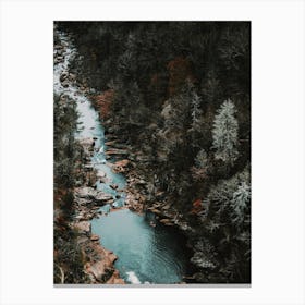 Forest Creek Canvas Print