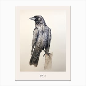 Vintage Bird Drawing Raven 2 Poster Canvas Print