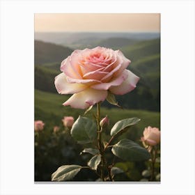 Pink Rose Canvas Print