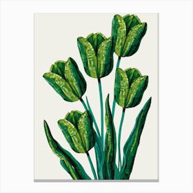 Green Tulips 1 Canvas Print