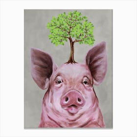 Pig With Tree Canvas Print