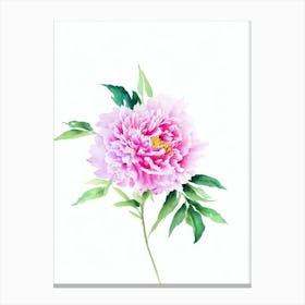 Peony Watercolour Flower Canvas Print