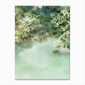 Acropora Spathulata Storybook Watercolour Canvas Print