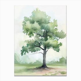 Mahogany Tree Atmospheric Watercolour Painting 4 Canvas Print