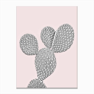 Cactus  Pink Canvas Print