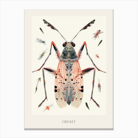 Colourful Insect Illustration Cricket 13 Poster Canvas Print