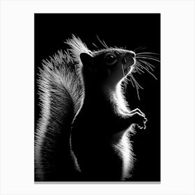 Squirrel In Silhouette Canvas Print