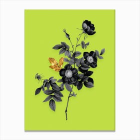 Vintage Alpine Rose Black and White Gold Leaf Floral Art on Chartreuse n.0824 Canvas Print