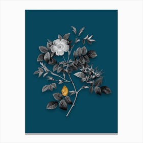 Vintage Malmedy Rose Black and White Gold Leaf Floral Art on Teal Blue n.0829 Canvas Print